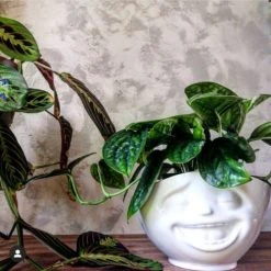 Tassen Bols, Tasses Et Mugs Bol XL En Porcelaine émotion 1000ml -Bols, tasses et mugs Soldes Boutique bol xl en porcelaine emotion 1000ml 2